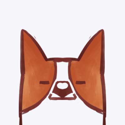 短信正常唯独收不到验证码 whatsapp怎么搜索好友 