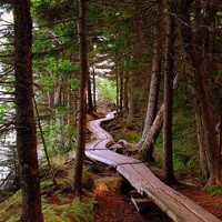 whatsapp验证码收不到怎么办 whatsapp网页版电脑版不能视频 